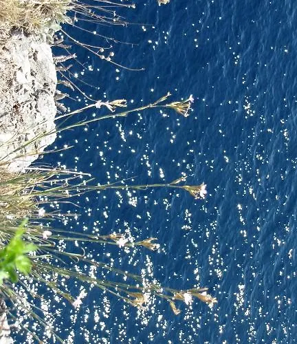 Apartments Zara Lejlighed Zadar